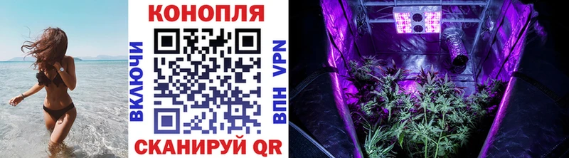 Где купить наркоту Анжеро-Судженск Кокаин СК Гашиш