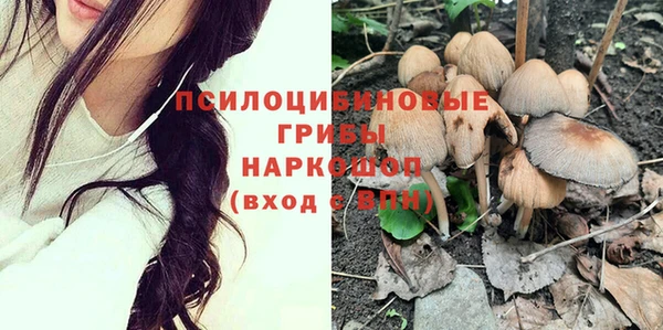 гашик Алексеевка