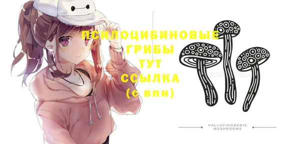 ешки Алзамай