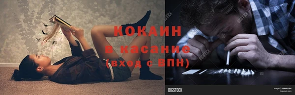 гашик Алексеевка
