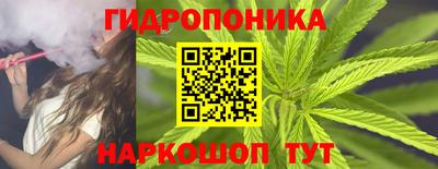 шишки Моздок
