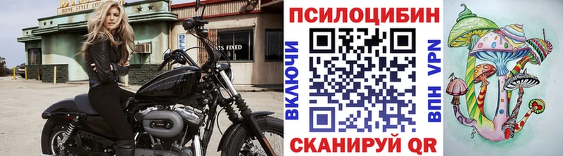 Псилоцибиновые грибы мицелий  купить наркоту  Анжеро-Судженск 