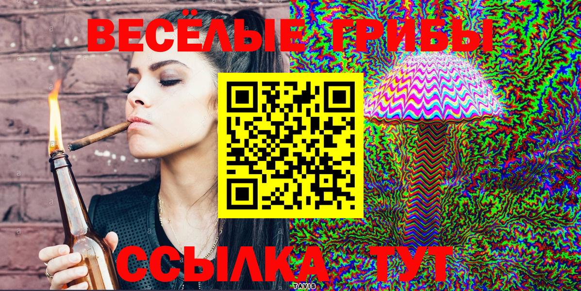 Псилоцибиновые грибы мицелий Анжеро-Судженск