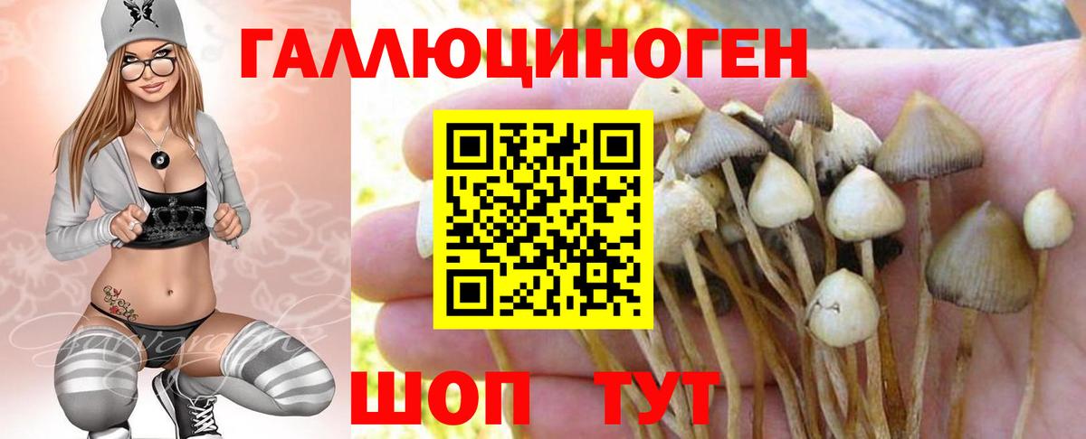 Анжеро-Судженск  Галлюциногенные грибы мухоморы  Вход с VPN  Псилоцибиновые грибы Psilocybine cubensis 
